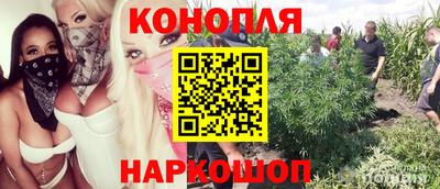 прущий лед Краснознаменск