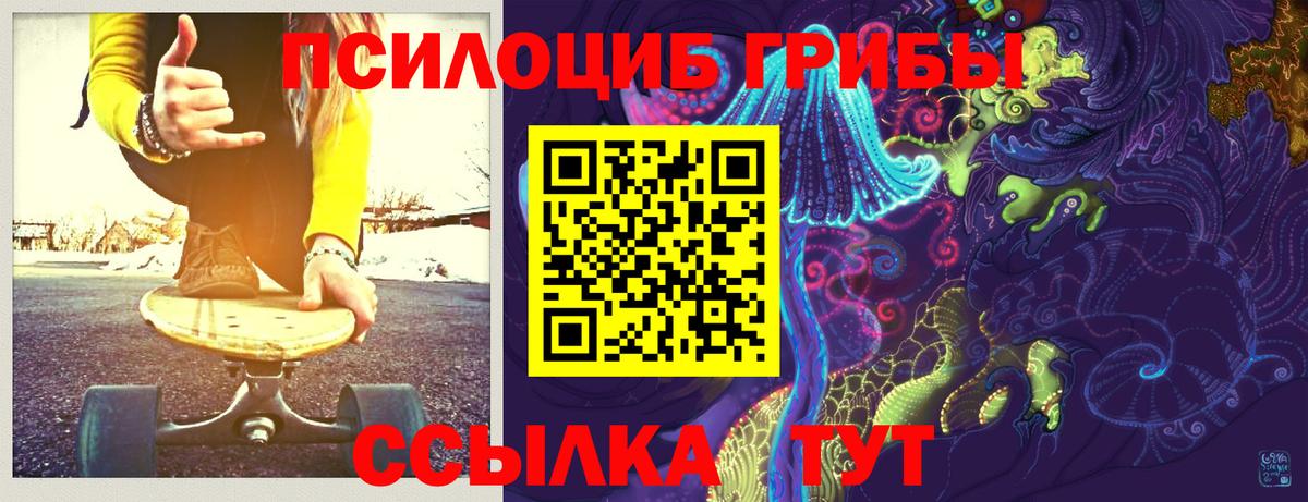 Псилоцибиновые грибы ЛСД  купить наркотики цена  Псилоцибиновые грибы мицелий  Биробиджан  Вход с VPN 
