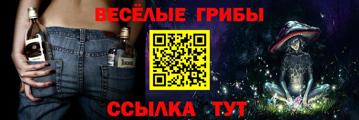 Псилоцибиновые грибы GOLDEN TEACHER Биробиджан